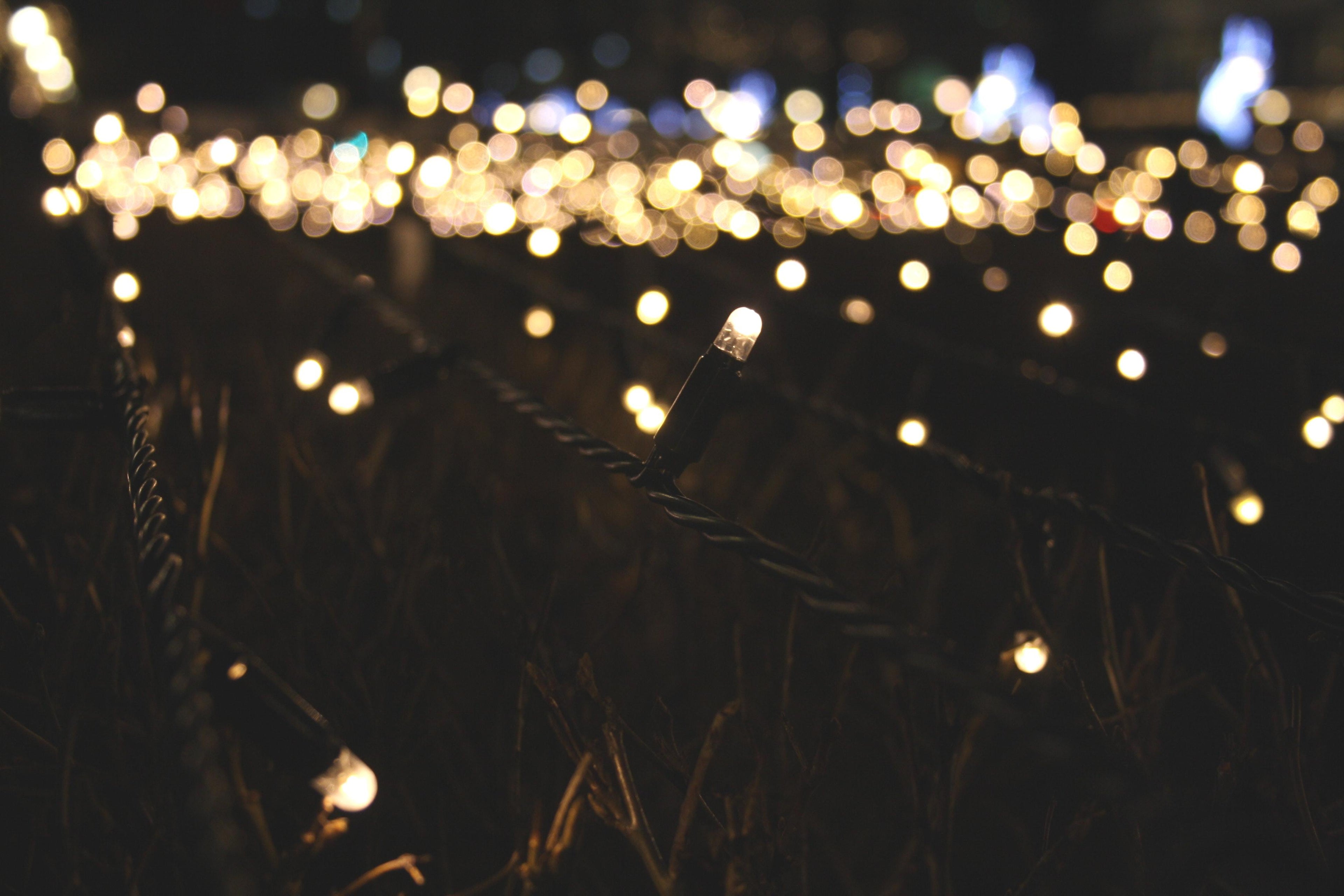 Trixie - Solarbetriebene LED-Lichterkette